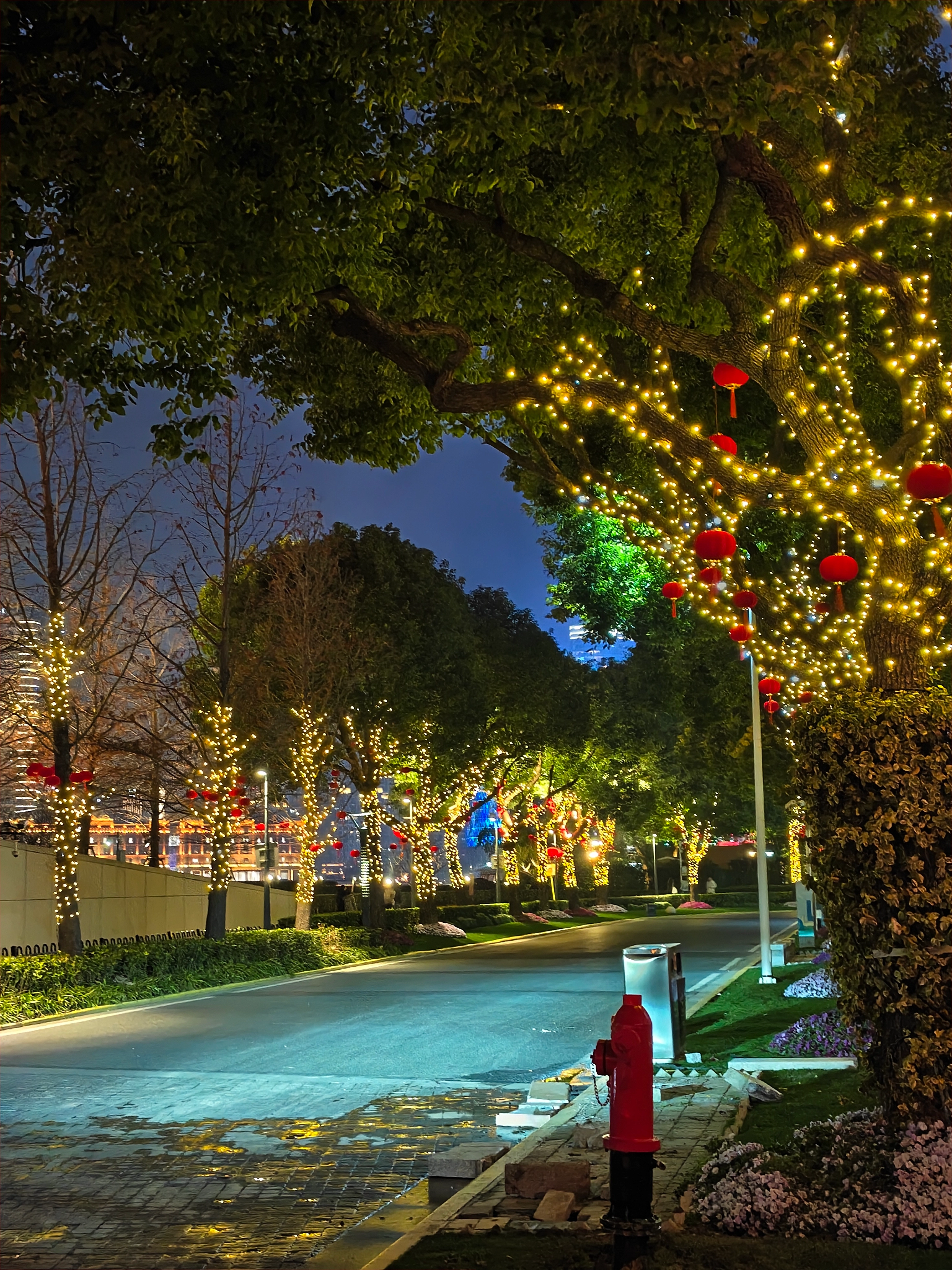 浦东美术馆路边小路
