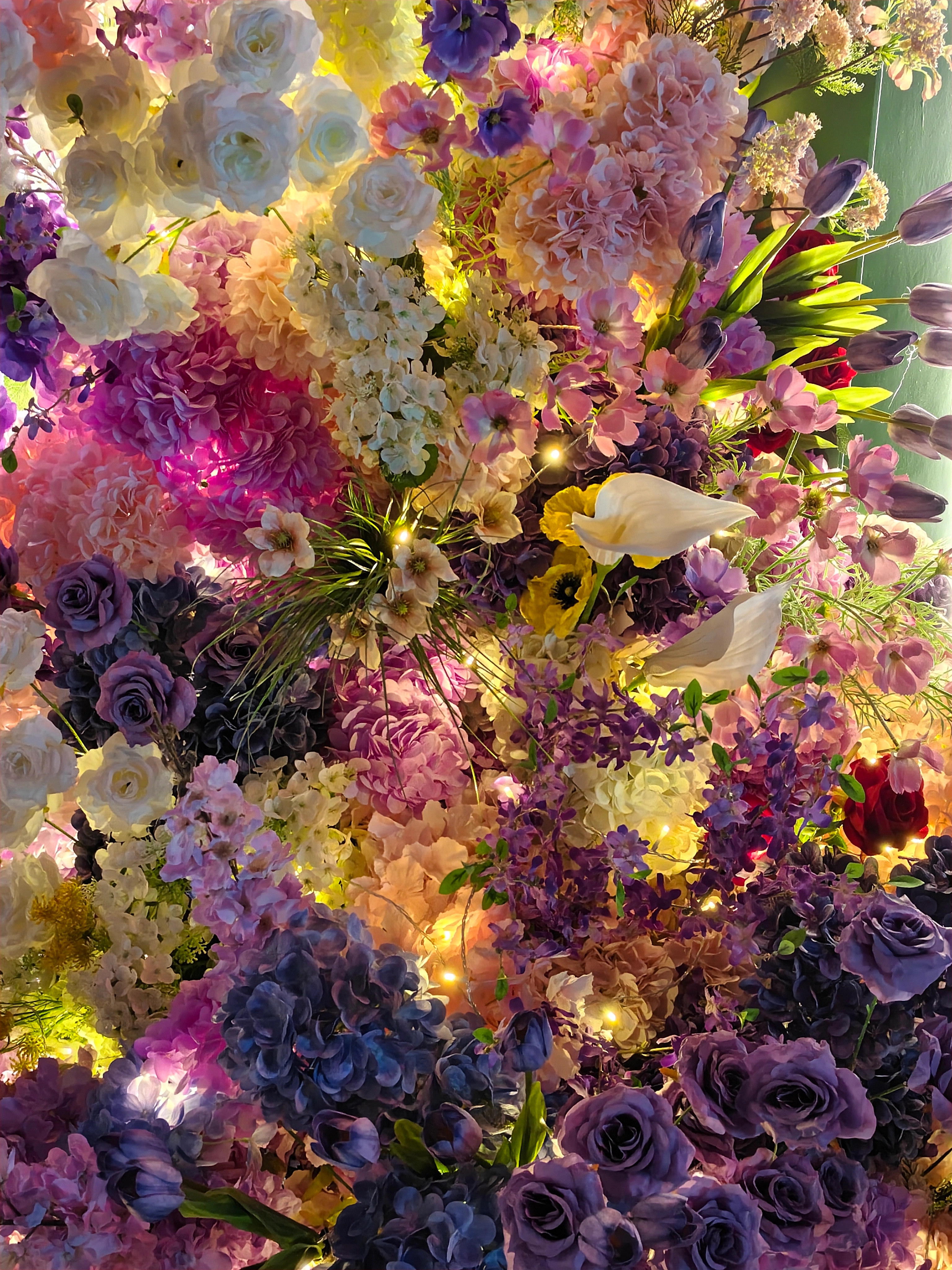 路边的新摆的花